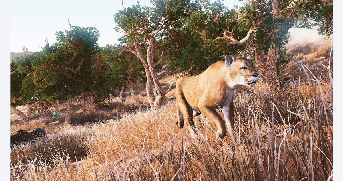 Hunting Simulator - Nintendo Switch