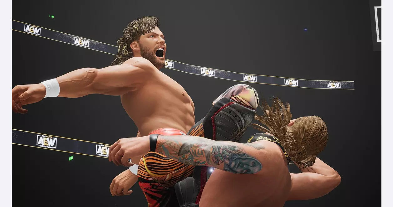 AEW: Fight Forever - PlayStation 4