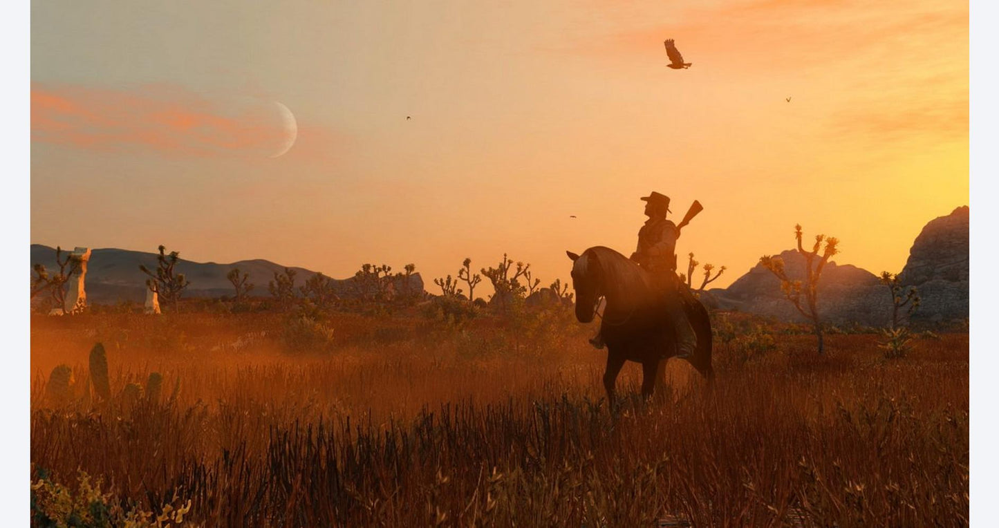 Red Dead Redemption (with Undead Nightmare DLC) - PlayStation 4