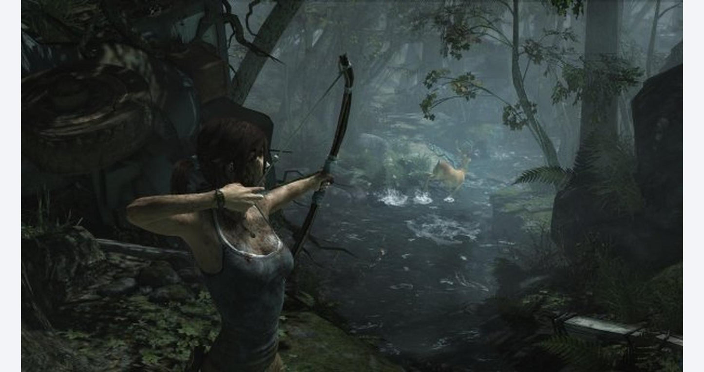 Tomb Raider Definitive Edition - PlayStation 4